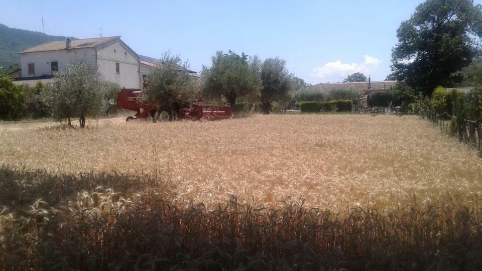 Vila Agriturismo Tre Santi Padula Exteriér fotografie